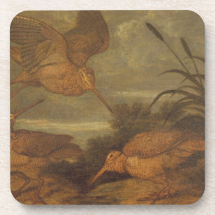 Dessous-de-verre Woodcock au crépuscule, c.1676 (huile sur la