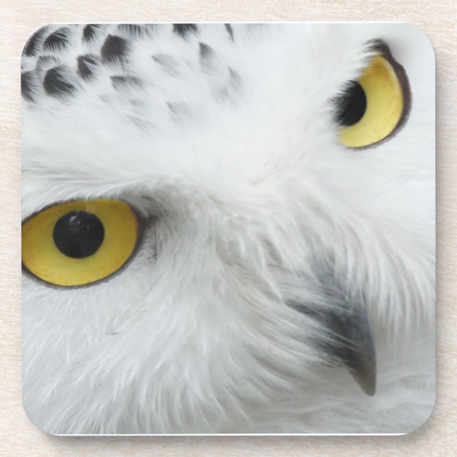 Dessous-de-verre Yeux de hibou de Milou (Devant)