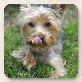 Dessous-de-verre Yorkshire Terrier Puppy - "jjhelene design"