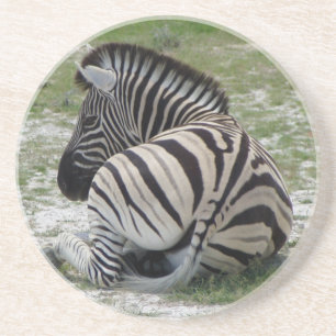 Dessous de verre Zebra