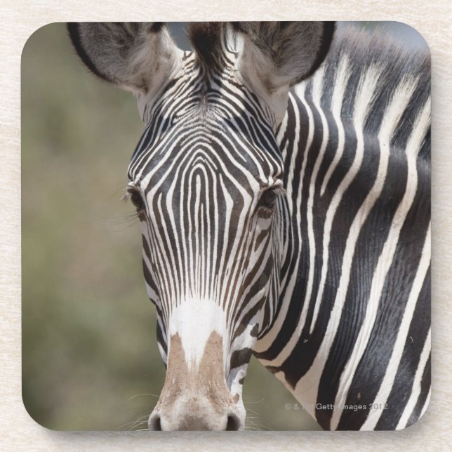 Dessous-de-verre Zèbre, Kenya, Afrique (Devant)