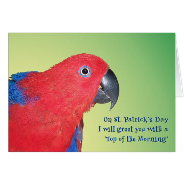 Dessus du matin (Devant horizontal)