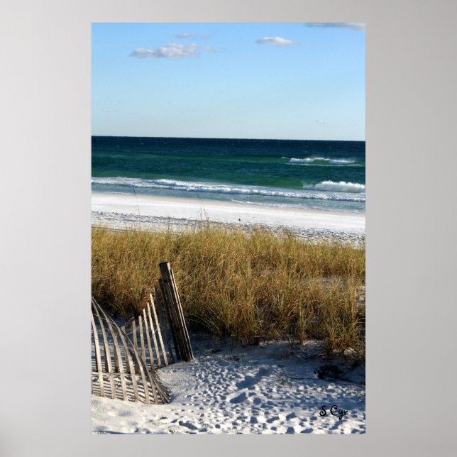 Destin Dreaming Poster, S Cyr Poster (Vorne)