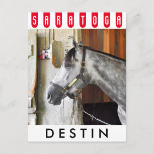 Destin - Horse Haven Postkarte