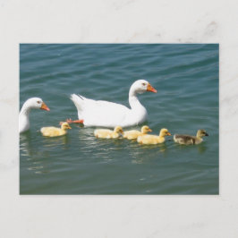 Destiny Geschenke Postkarte