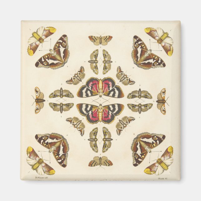 Detail aus Platte VI Magnet (Vorne)