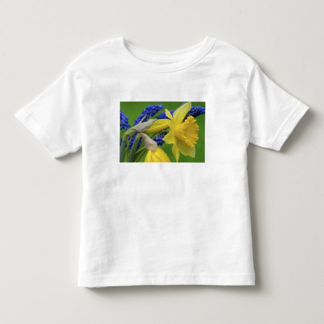 Detail der adipösen und hyacinth Blume. Kredit Kleinkind T-shirt (Vorderseite)