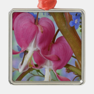 Detail der Blutungsherzen und Brunnera-Jack Ornament Aus Metall