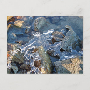 Detail der gefrorenen Ufer, Eis, Stein, Sand, Wass Postkarte