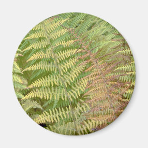 Detail der Herbstfarne Magnet