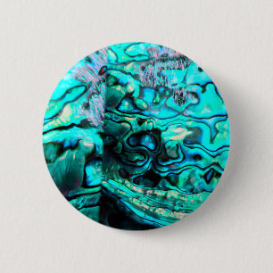 Detail der Muschel: Türkis abalone paua Button