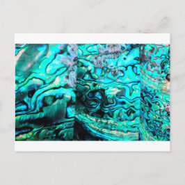 Detail der Muschel: Türkis abalone paua Postkarte