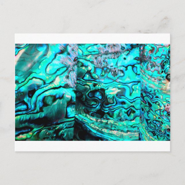 Detail der Muschel: Türkis abalone paua Postkarte (Vorderseite)
