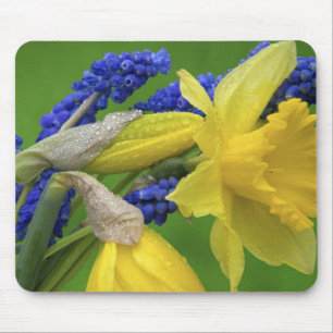 Detail der Narzissen- und Hyazinthenblüten. Credit Mousepad