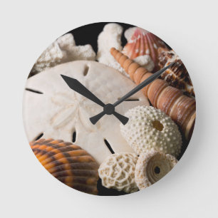 Detail Muscheln aus aller Welt Runde Wanduhr