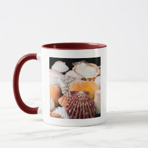 Detail Muscheln aus der ganzen Welt 2 Tasse