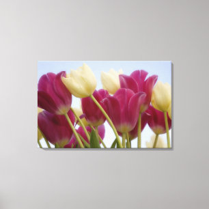 Detail von Tulpen. Bildnachweis: Don Paulson / Leinwanddruck