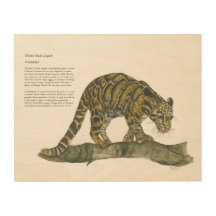 Detaillierte gefährdete, getrübte Leopardenkunst