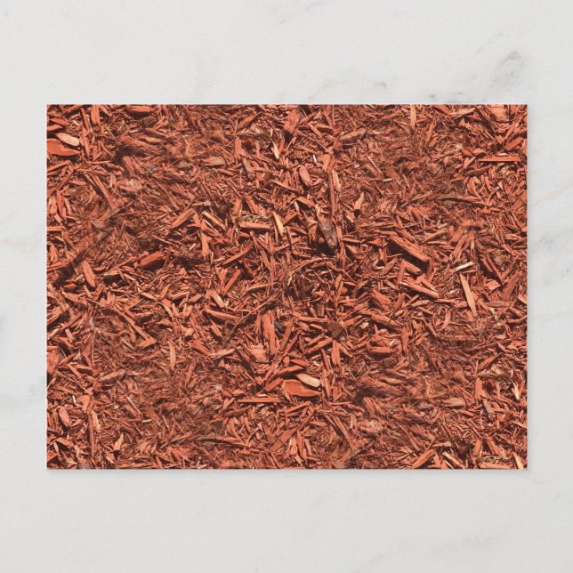 detaillierte Mulch der roten Zeder für Landschafts Postkarte (Vorderseite)