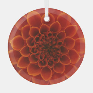 Detaillierte nah-up einer Blume. Ornament Aus Glas