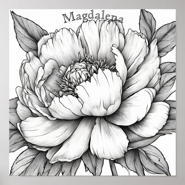 Detaillierte Peony-Blume Nah Name Coloring Poster (Vorne)
