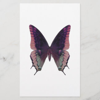 Detaillierte Schmetterlingsfarbe