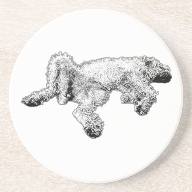 Detaillierter Spinone Feeling Good Untersetzer (Vorne)