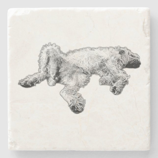 Detaillierter Spinone Feeling Good Untersetzer (Vorderseite)