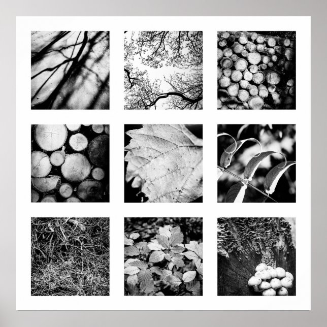 Détails de la série Nature - Affiche forestière (Devant)