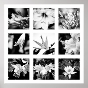 Details der Reihe "Natur" - Blume-Plakat Poster