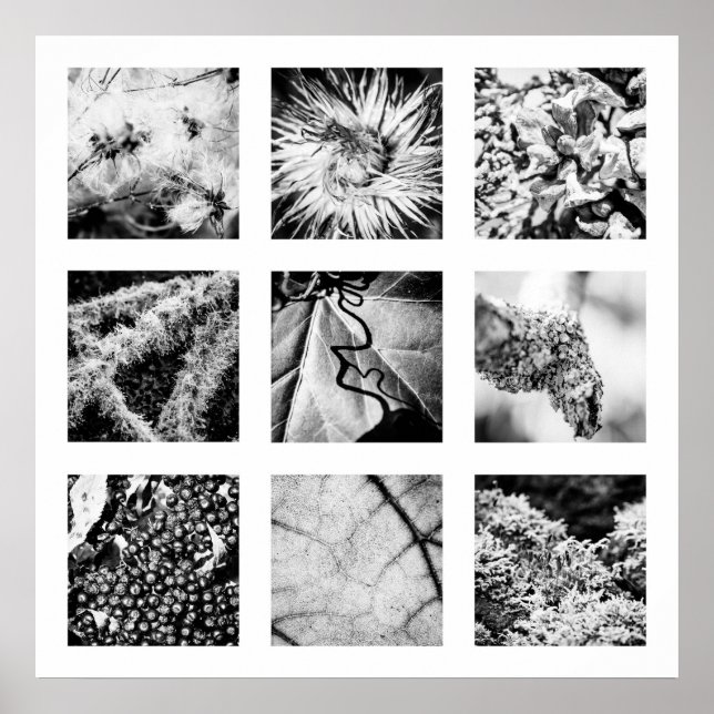 Details der Reihe Natur - Details Plakat (Vorne)