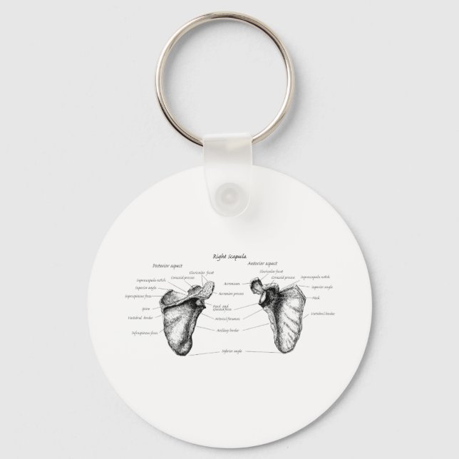 Details zum Scapula Schlüsselanhänger (Vorderseite)