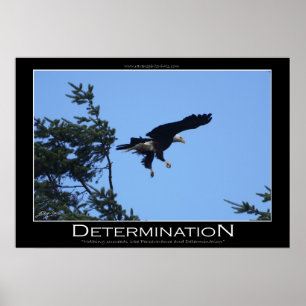 DÉTERMINATION ~ Affiche motivationnelle