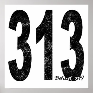 Detroit 313 poster