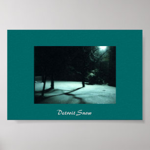 Detroit Snow Poster