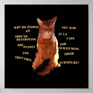 Détruisez ! Poster de chat somalien