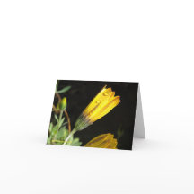 Deu auf einem Gelben Schwanz - Note Card