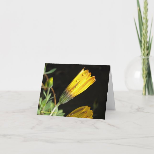 Deu auf einem Gelben Schwanz - Note Card Karte (Vorderseite)