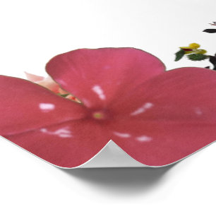 Deuteronomie 31, Keine Angst, Rote Blume Poster