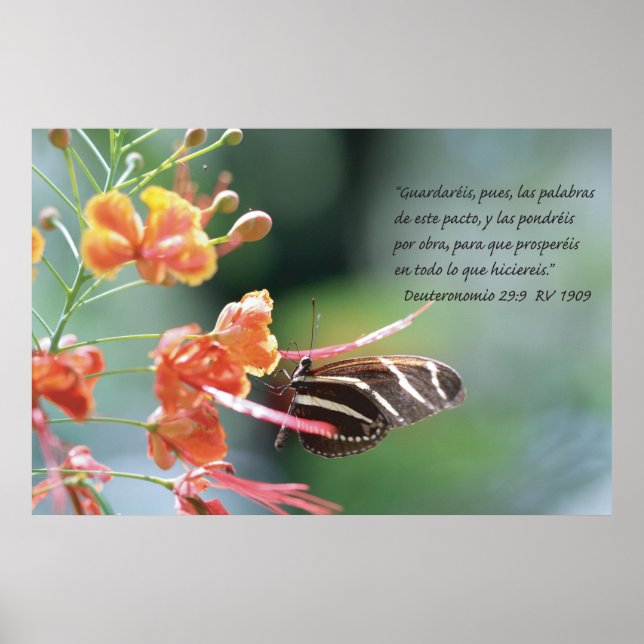 Deuteronomio 29:9 Kartell Poster (Vorne)