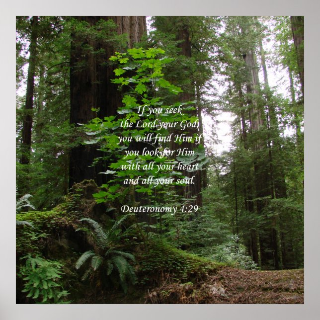 Deuteronomy 4:29 ~ Seek the Lord Poster (Vorne)