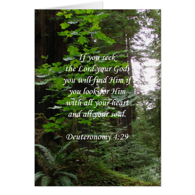 Deuteronomy 4:29 ~ Suchvorgang der Lord (Vorne)