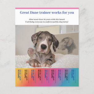 Deutsch Drahthaar Hunde Trainer Flyer