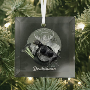 Deutsch Drahthaar Ornament Aus Glas
