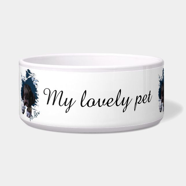 Deutsch Kurzhaar Pointer, lustiges Gesicht Bandana Napf (Links)