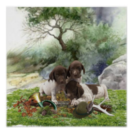 Deutsch Kurzhaarige niedliche Welpen Poster