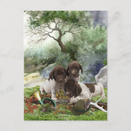 Deutsch Kurzhaarige niedliche Welpen Postkarte