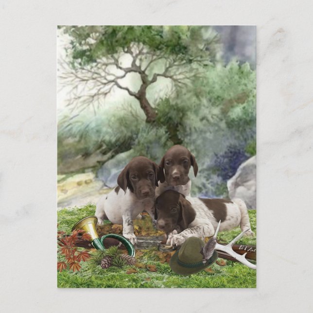 Deutsch Kurzhaarige niedliche Welpen Postkarte (Vorderseite)