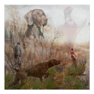 Deutsch kurzhaarige Pointer , kurzhaar Tapestry Ca Poster