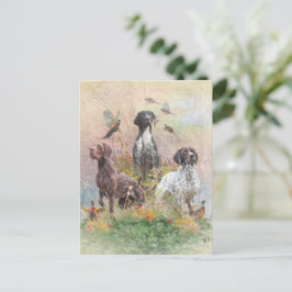 Deutsch Kurzzeiger (APS), ein Jagdphäe Postkarte